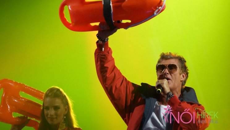 Hoff, Hoff Hasselhoff!