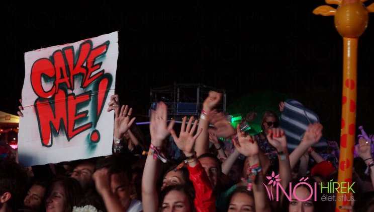 Cake me...Steve Aoki jött és etetett!
