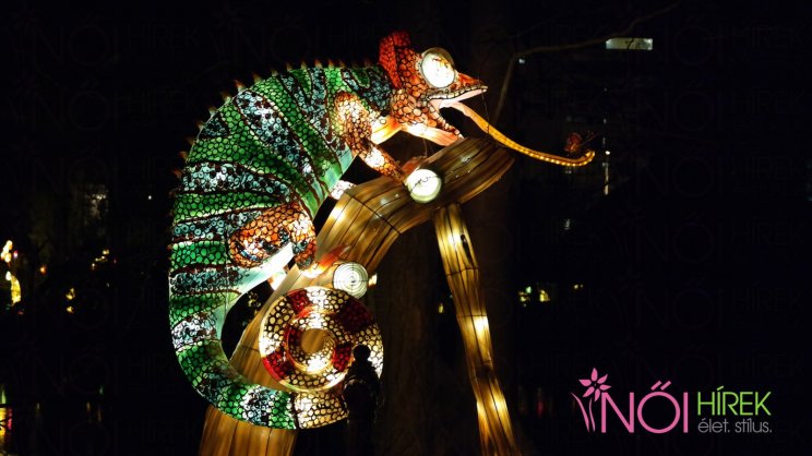 Színes lampion állatok