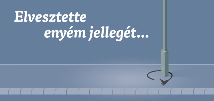 1. díjazott