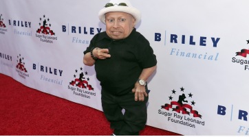 A vizsgálatok szerint öngyilkos lett Verne Troyer