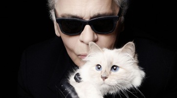 Milliókat örökölt Karl Lagerfeld cicája