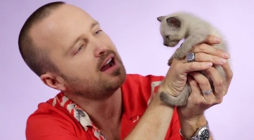 Napi cuki: így cicázik Aaron Paul egy interjú közben