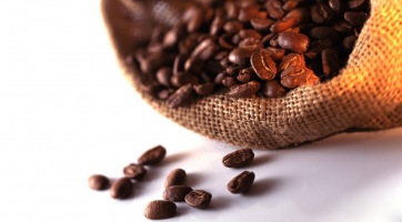 A koffein meggátolhatja a fülzúgást?