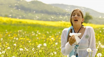 Jelentősen növekszik a pollen!