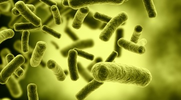 Új antibiotikum a láthatáron
