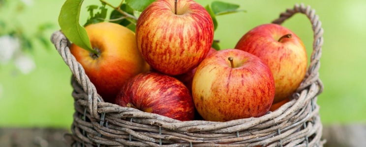 5 őszi gyümölcsös desszert