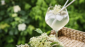 Bodzás gin tonic