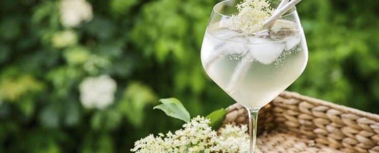 Bodzás gin tonic