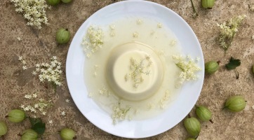 Bodzás panna cotta