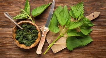 Csalánpesto