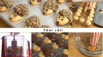 Süni süti