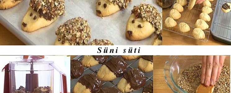 Süni süti