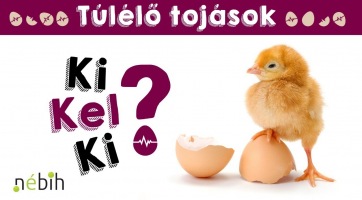 A Nébih elindította az élő online valóságshowját