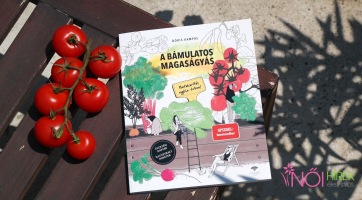 Doris Kampas: A bámulatos magaságyás - könyvajánló