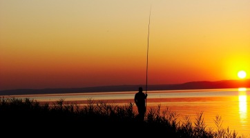 Hihetetlen: Továbbra sincs balatoni hal a Balatonon!