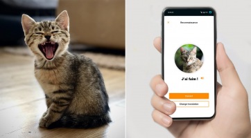 Íme az app, amivel megértheted a kiskedvenced kéréseit!