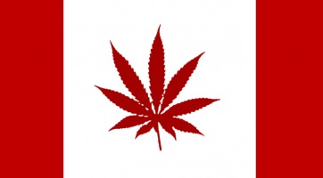 Jövőre Kanadában is legalizálják a marihuánát