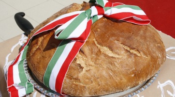 Újabb elrettentő tények a fehér kenyérről