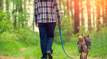 Újabb hazai fejlesztés, érkezik a dogGo alkalmazás