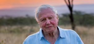 David Attenborough 94 évesen úgy döntött, hogy regisztrál az Instagramra