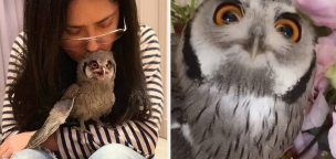 Salma Hayek egy bagollyal meditál