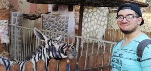 Nem volt kéznél zebra, így befestett egy szamarat egy egyiptomi állatkert